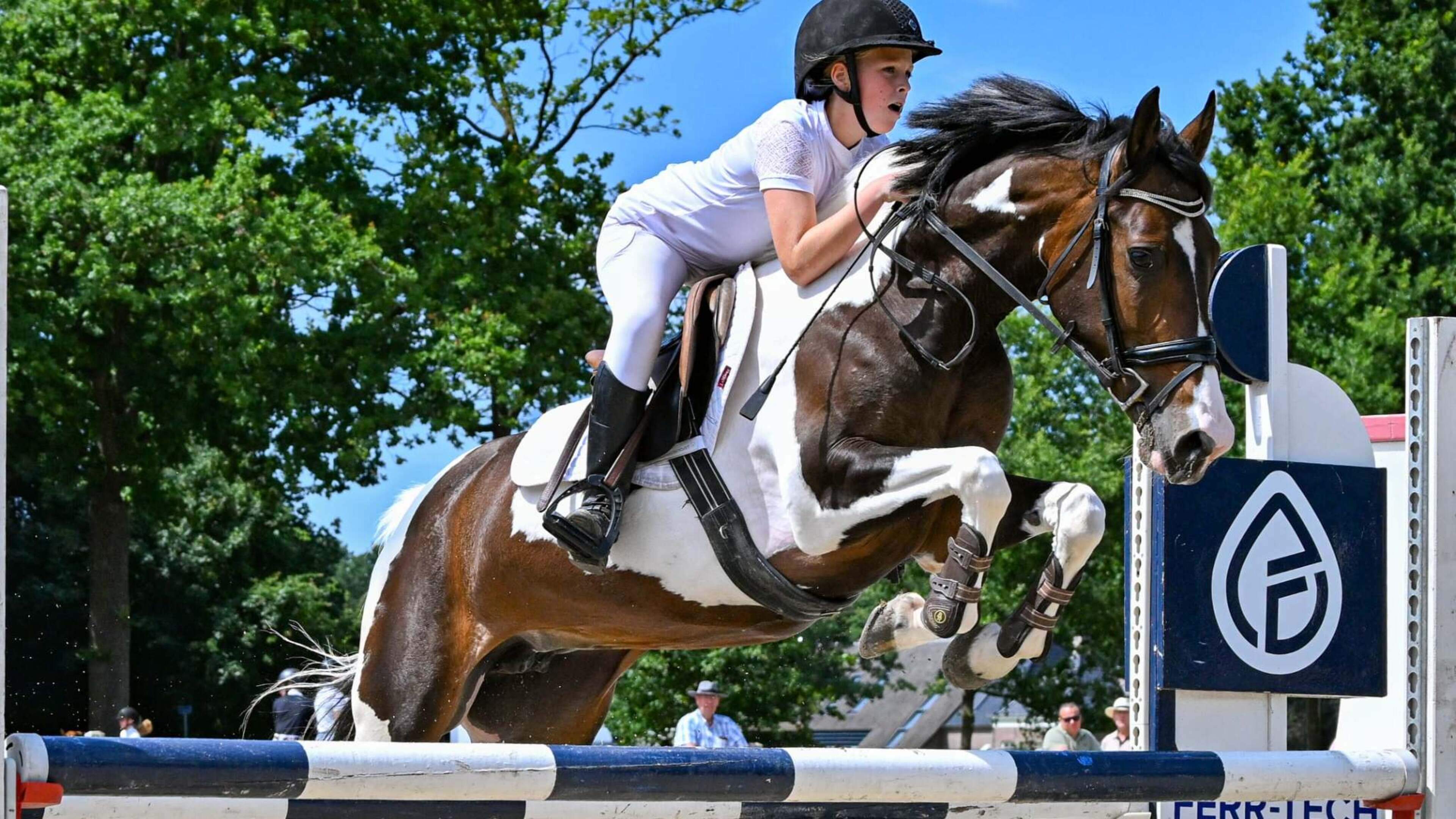 Zomerconcours Ponyclub Meppel trekt ruim 200 deelnemers: ’Iedereen heeft er ontzettend veel zin in’