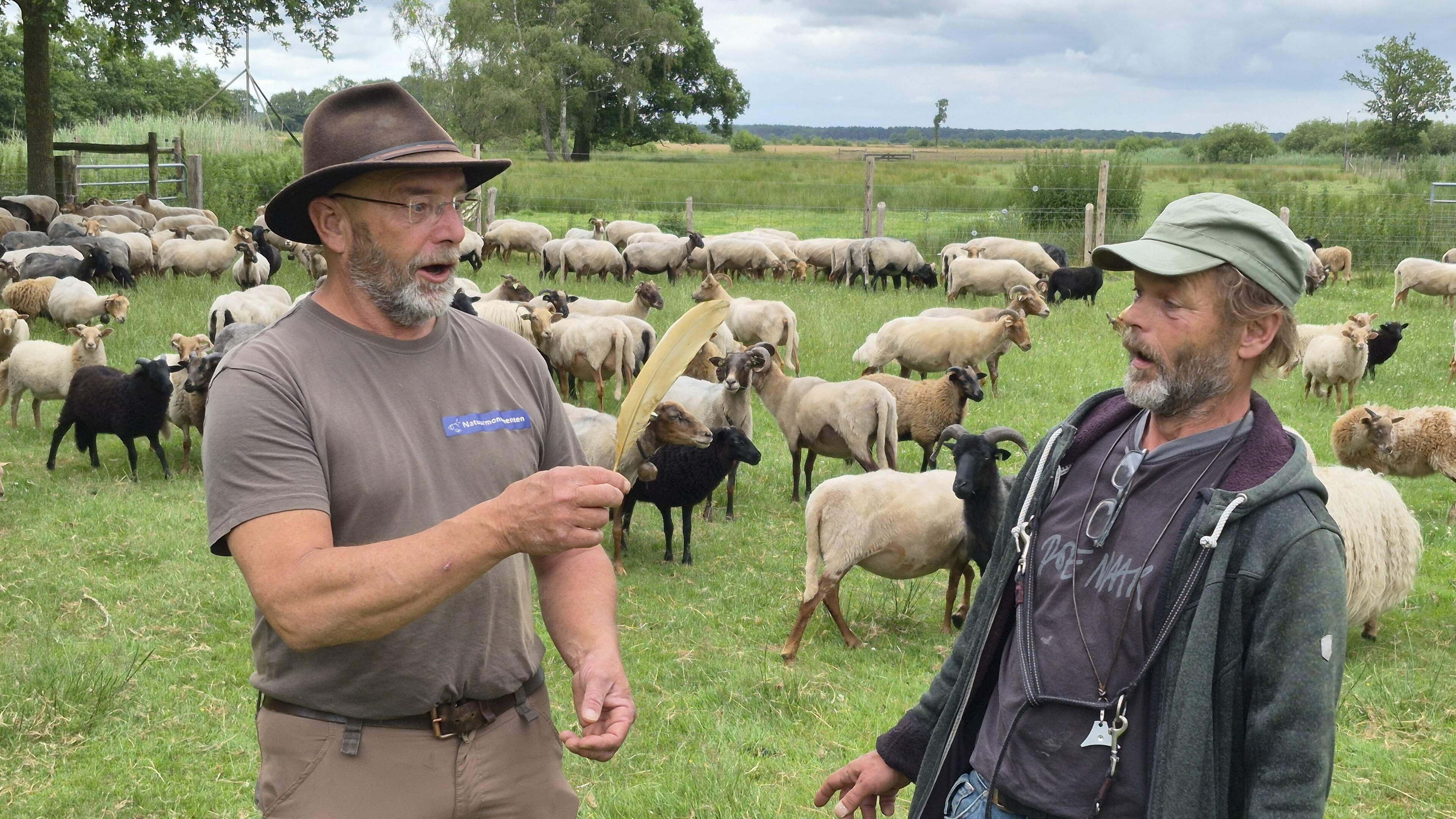 Dwingeloo maakt zich op voor een zomer vol vreemde vogels. Herders vinden gouden veer