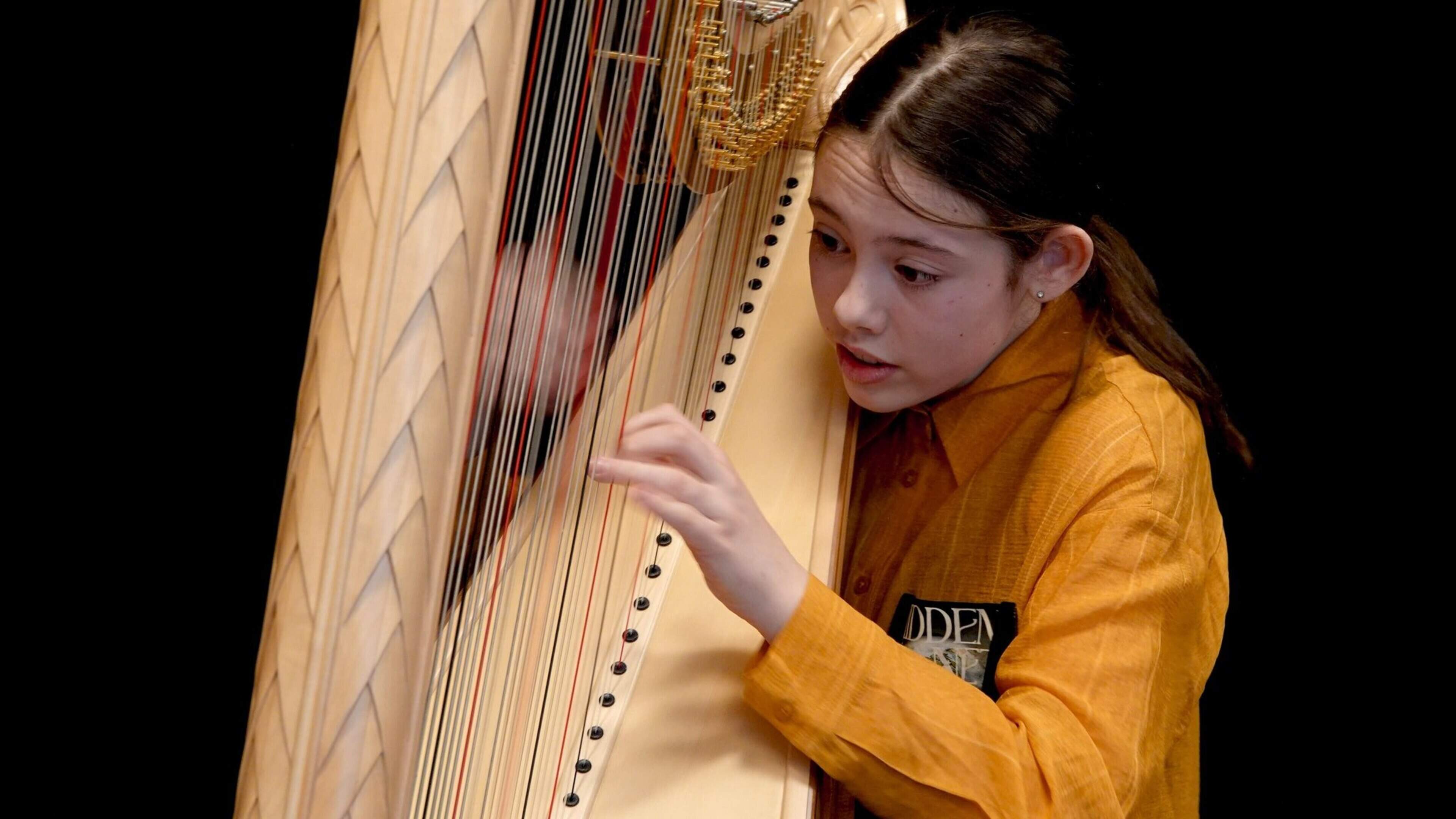 Opnieuw feestconcert op landgoed de Oldenhof in Vollenhove