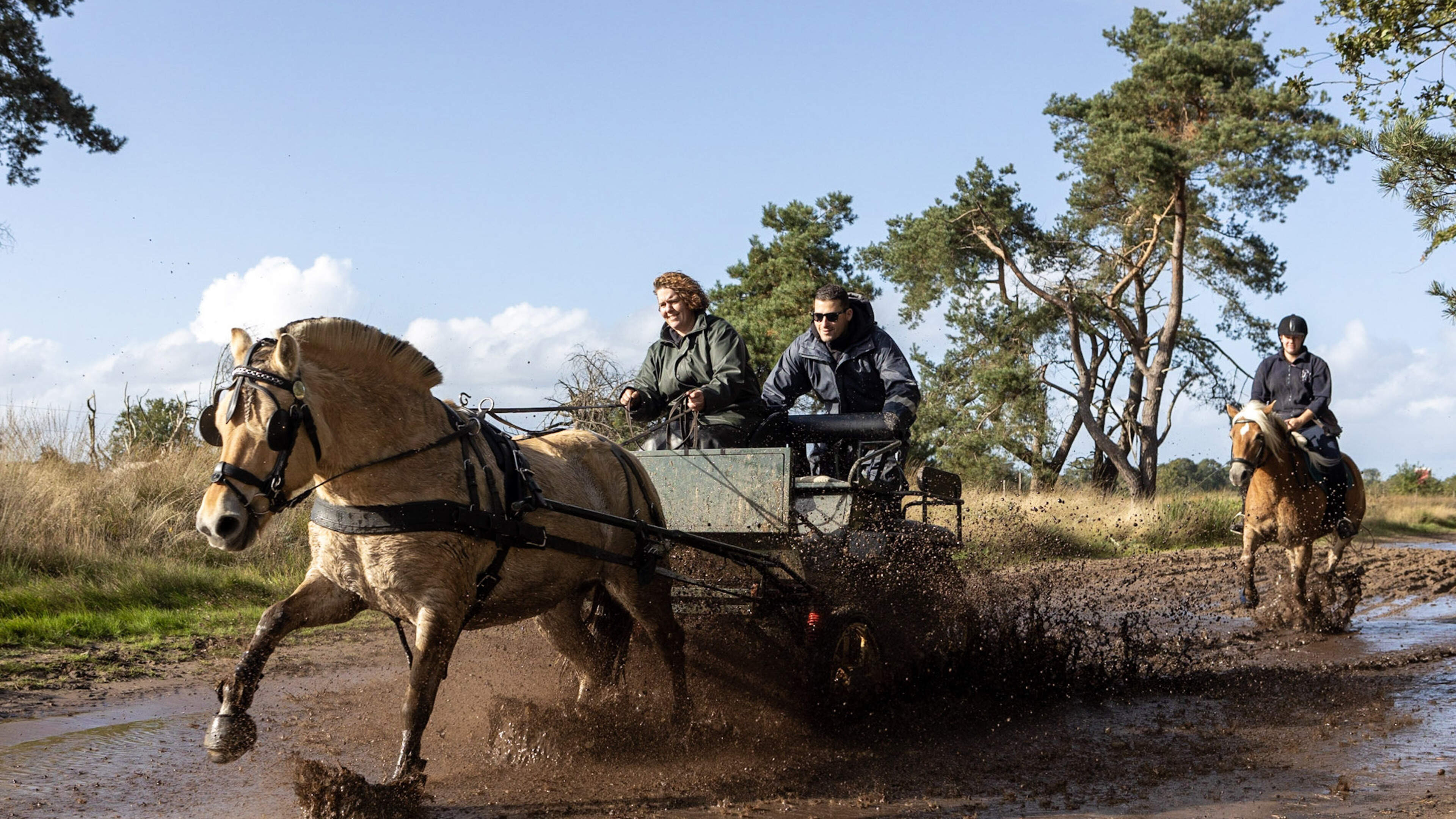 Hunerit voert paardenliefhebbers door het Holtingerveld
