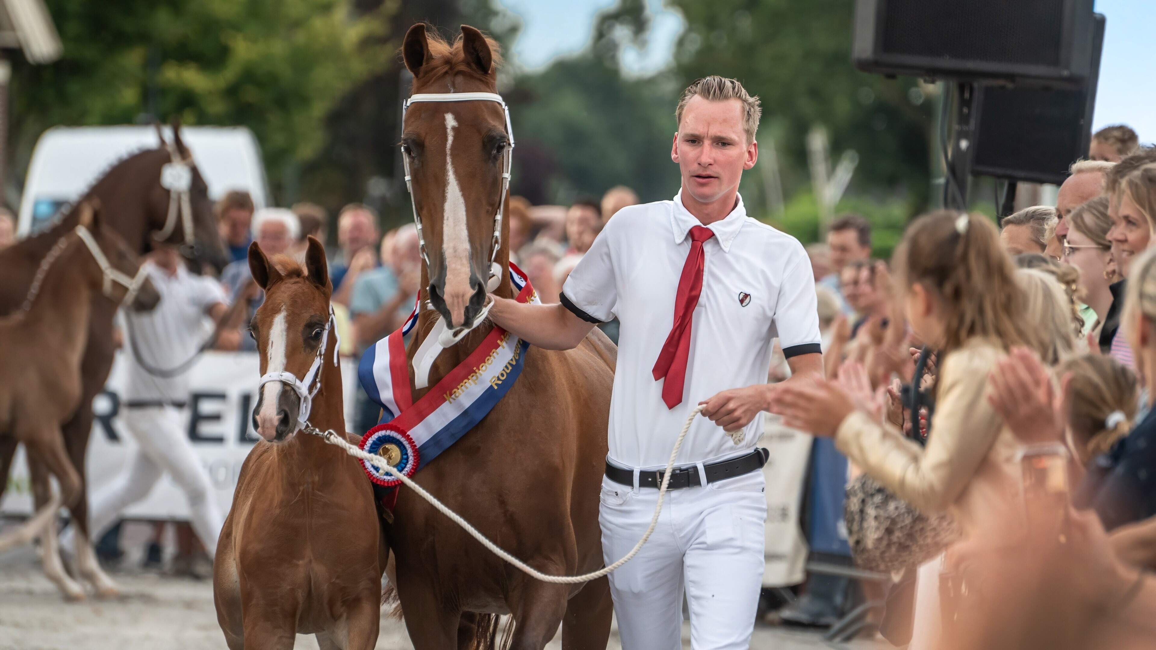 Dravende paarden en monsterknechten onder de antieke toren van Rouveen: 26ste Handelskeuring